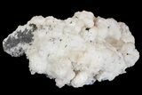 Manganoan Calcite and Kutnohorite Association - Fluorescent! #169794-1